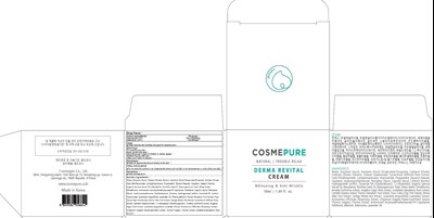 Image Of Carton (Derma Cream Carton)